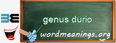 WordMeaning blackboard for genus durio